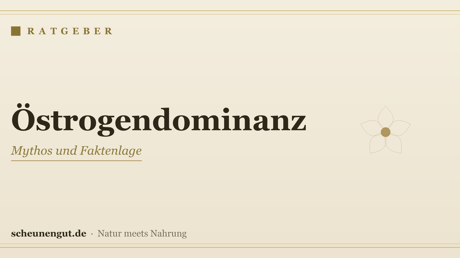 Östrogendominanz: Mythos und Faktenlage