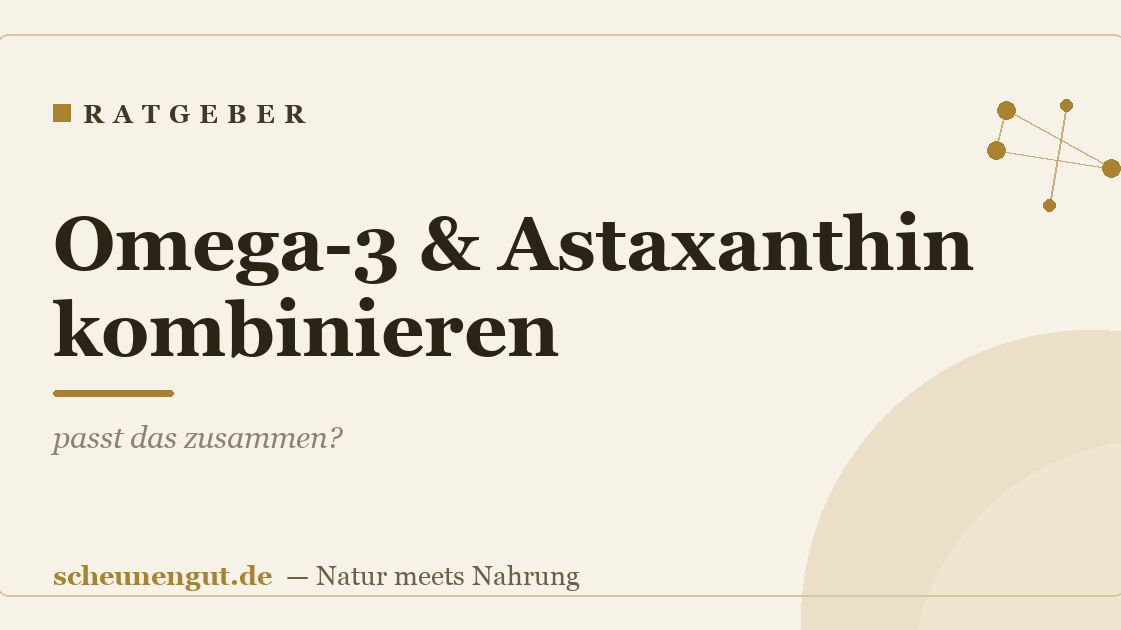 Omega-3 & Astaxanthin kombinieren: passt das zusammen?