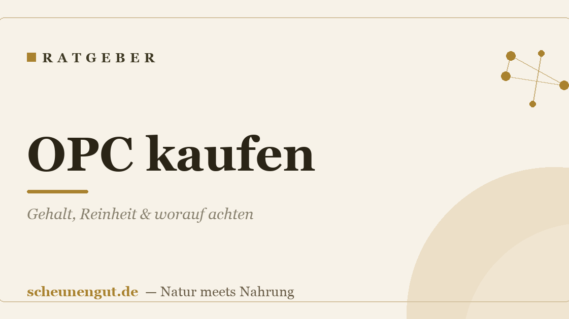 OPC kaufen: Gehalt, Reinheit & worauf achten