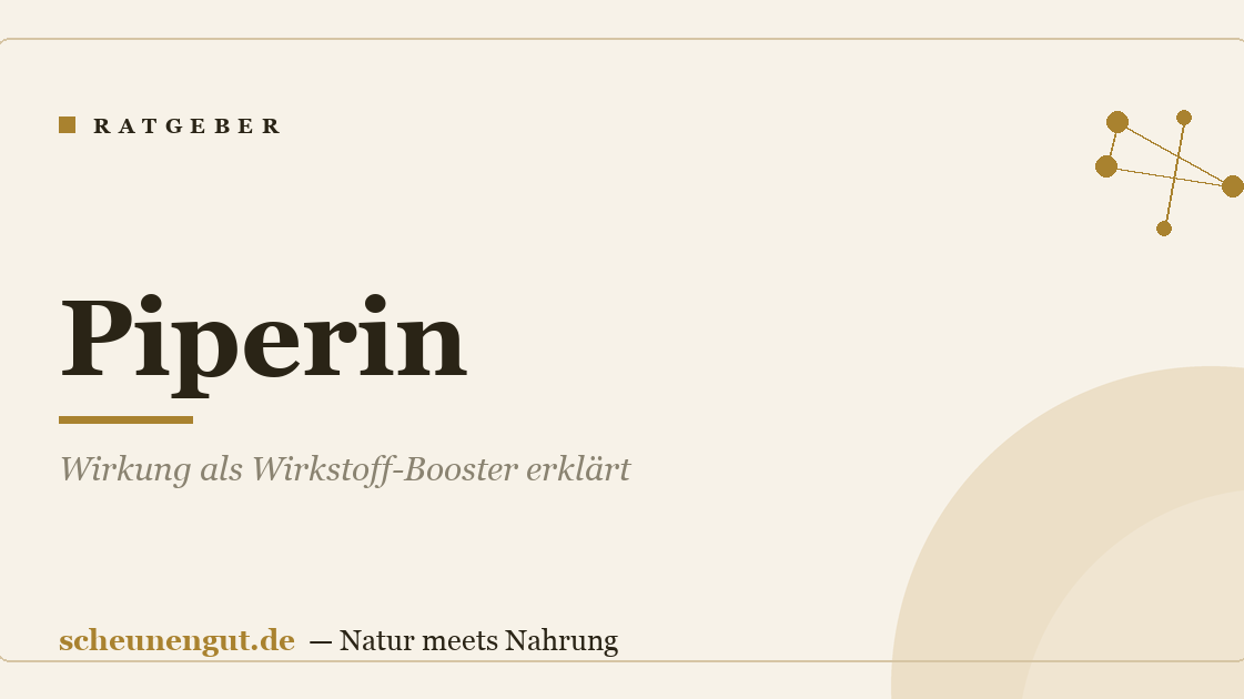 Piperin: Wirkung als Wirkstoff-Booster erklärt