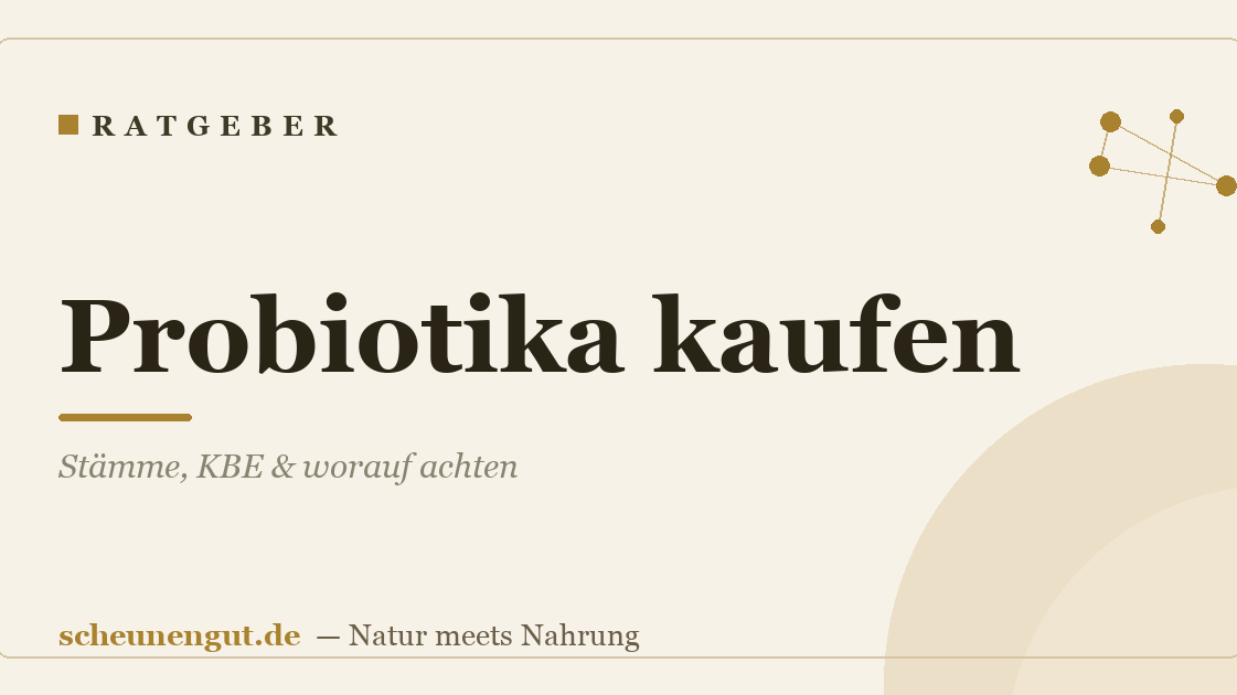 Probiotika kaufen: Stämme, KBE & worauf achten