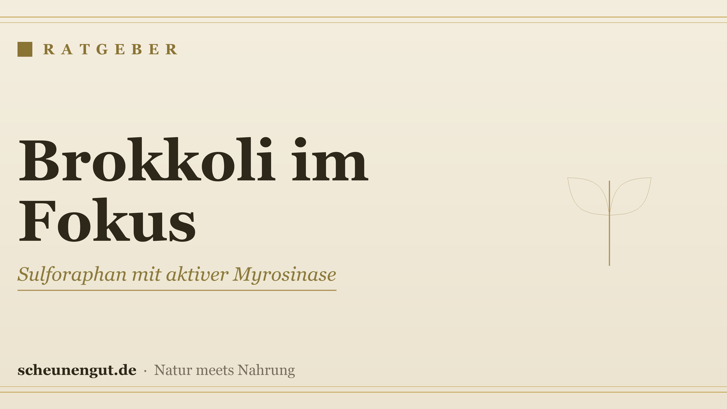 Brokkoli im Fokus: Sulforaphan mit aktiver Myrosinase