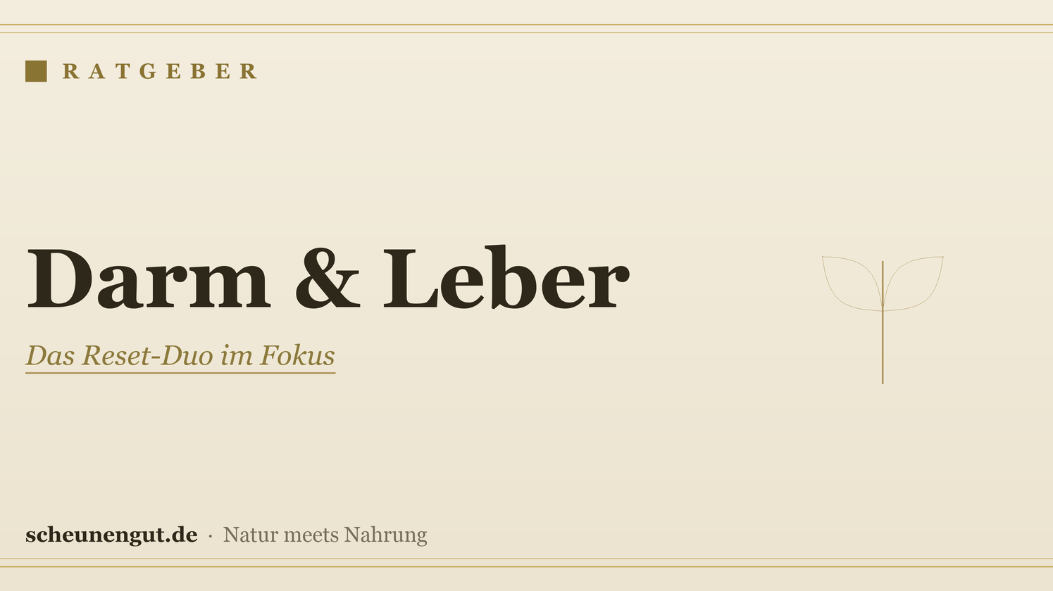 Darm & Leber: Das Reset-Duo im Fokus
