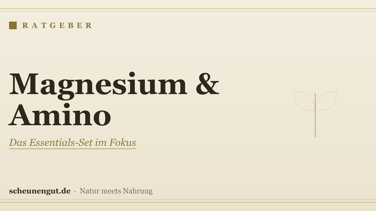 Magnesium & Amino: Das Essentials-Set im Fokus
