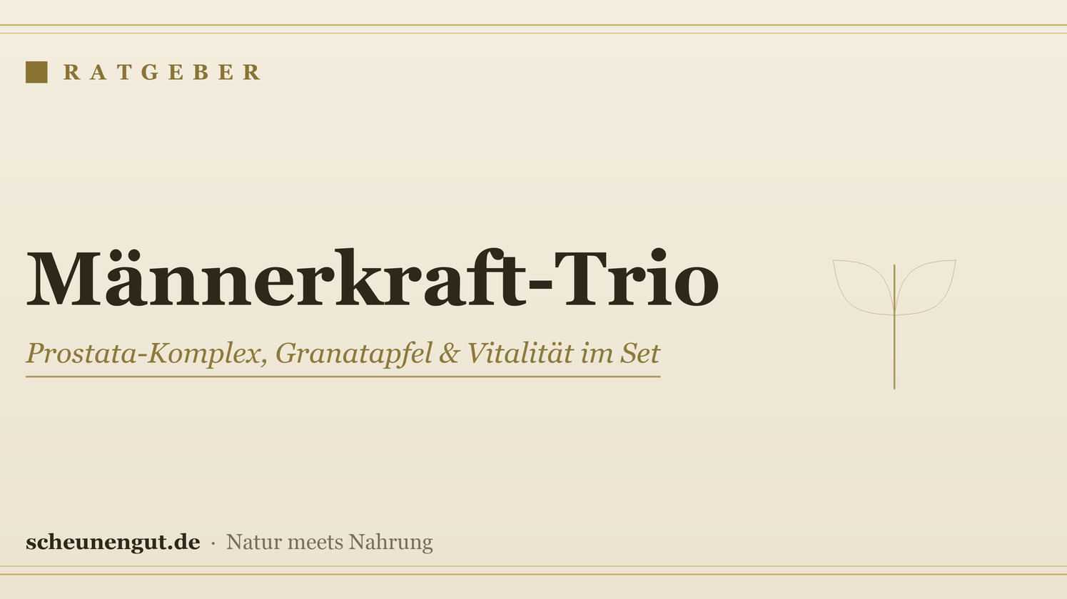 Männerkraft-Trio: Prostata-Komplex, Granatapfel & Vitalität im Set
