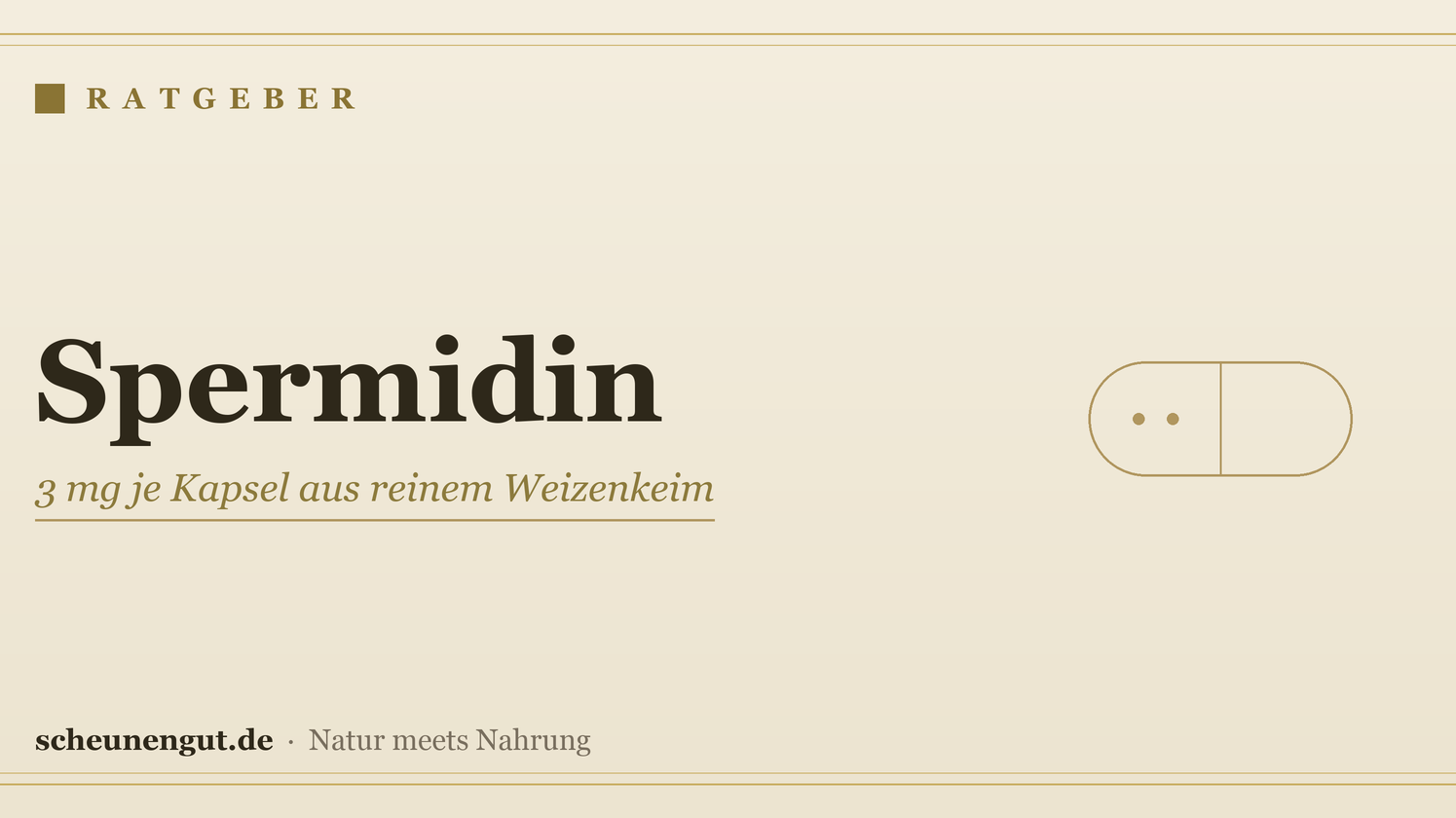 Spermidin: 3 mg je Kapsel aus reinem Weizenkeim
