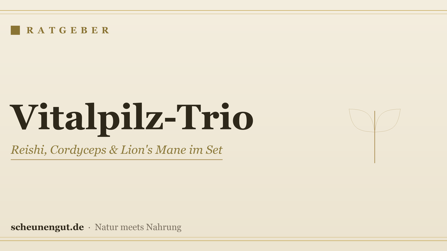 Vitalpilz-Trio: Reishi, Cordyceps & Lion's Mane im Set