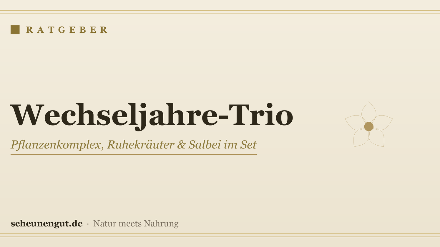 Wechseljahre-Trio: Pflanzenkomplex, Ruhekräuter & Salbei im Set