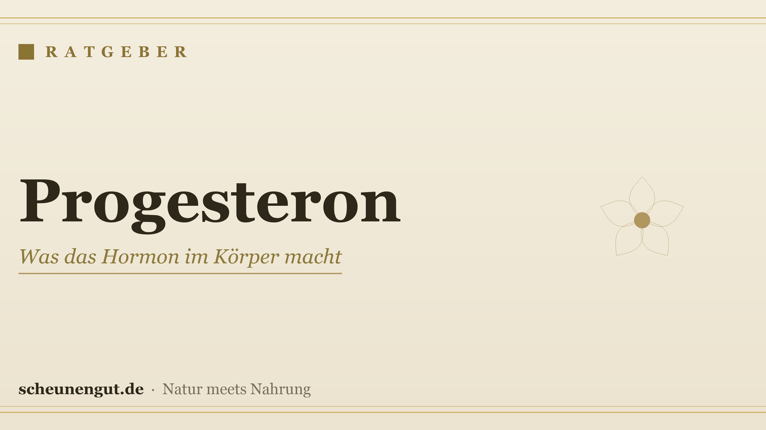 Progesteron: Was das Hormon im Körper macht
