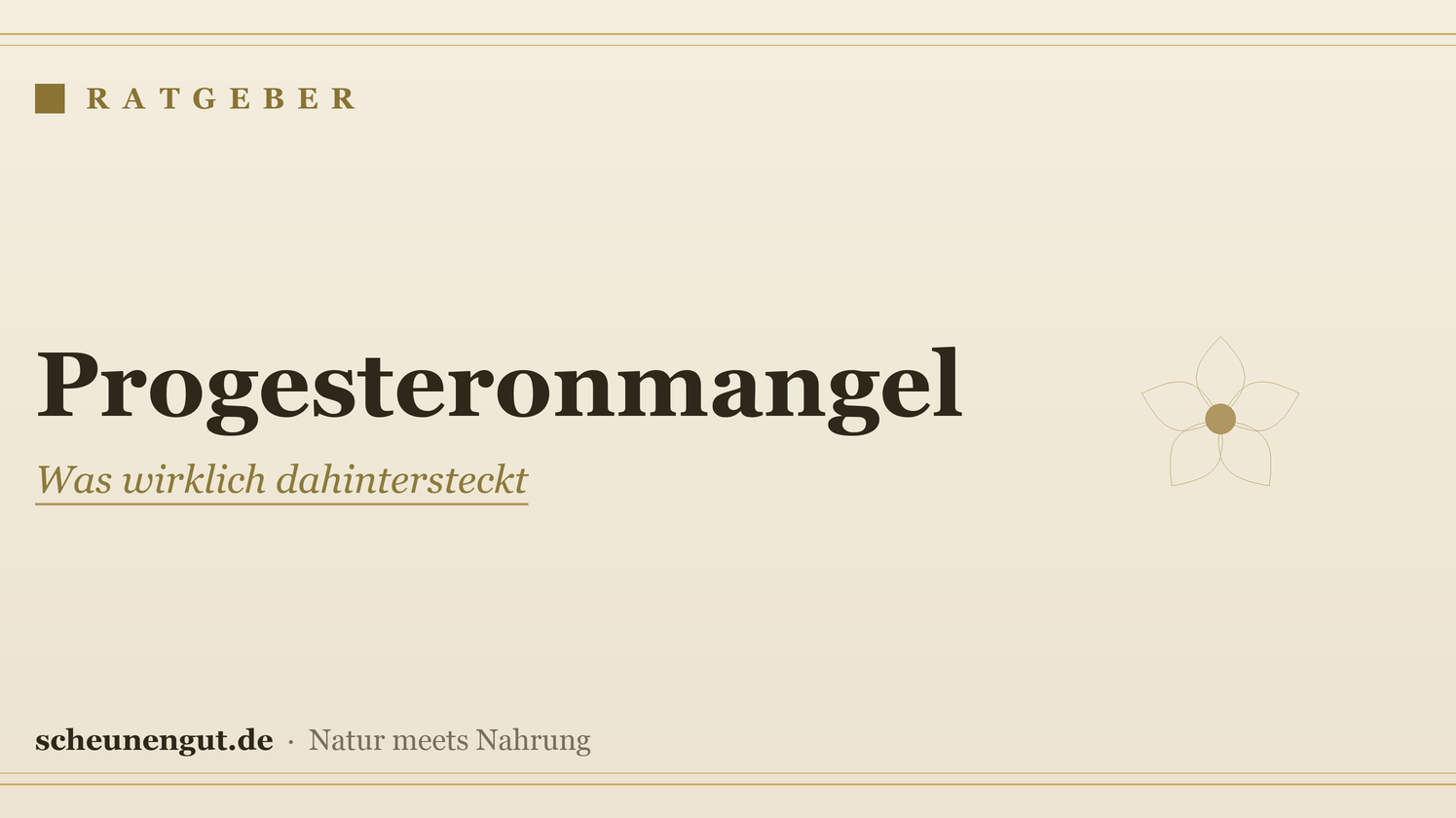 Progesteronmangel: Was wirklich dahintersteckt