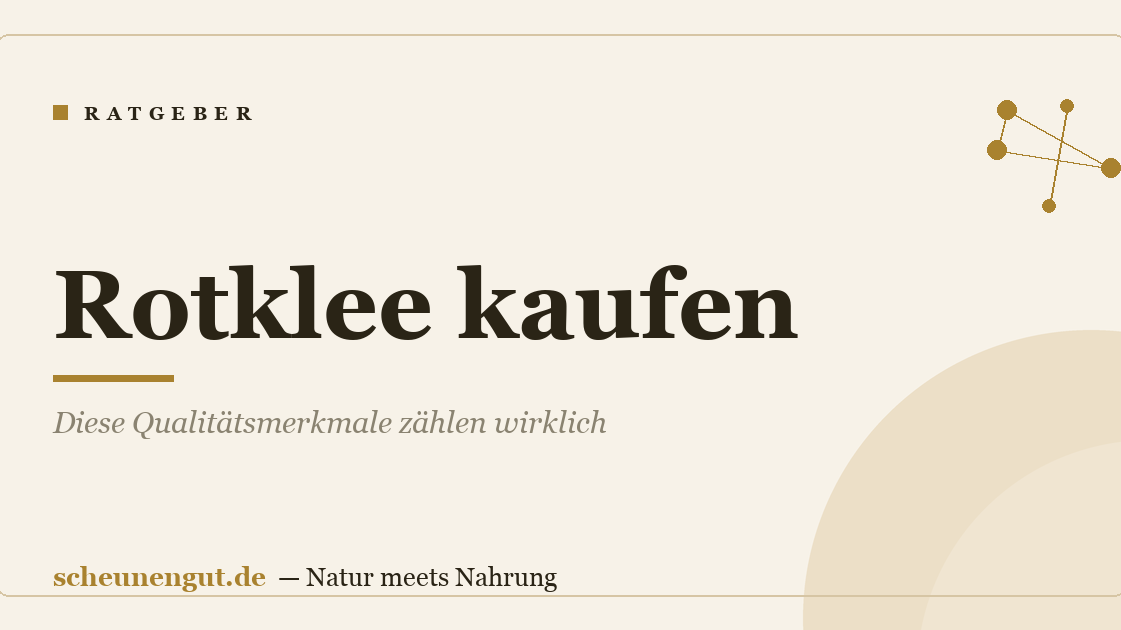 Rotklee kaufen: Diese Qualitätsmerkmale zählen wirklich