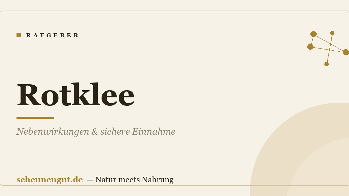 Rotklee: Nebenwirkungen & sichere Einnahme