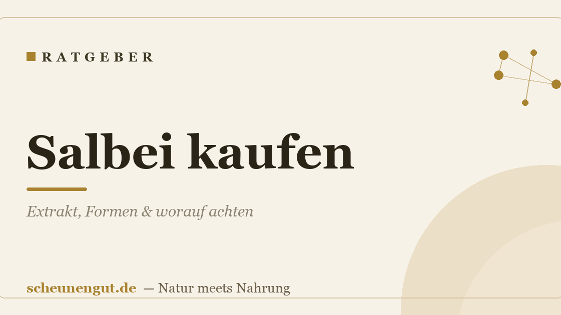 Salbei kaufen: Extrakt, Formen & worauf achten