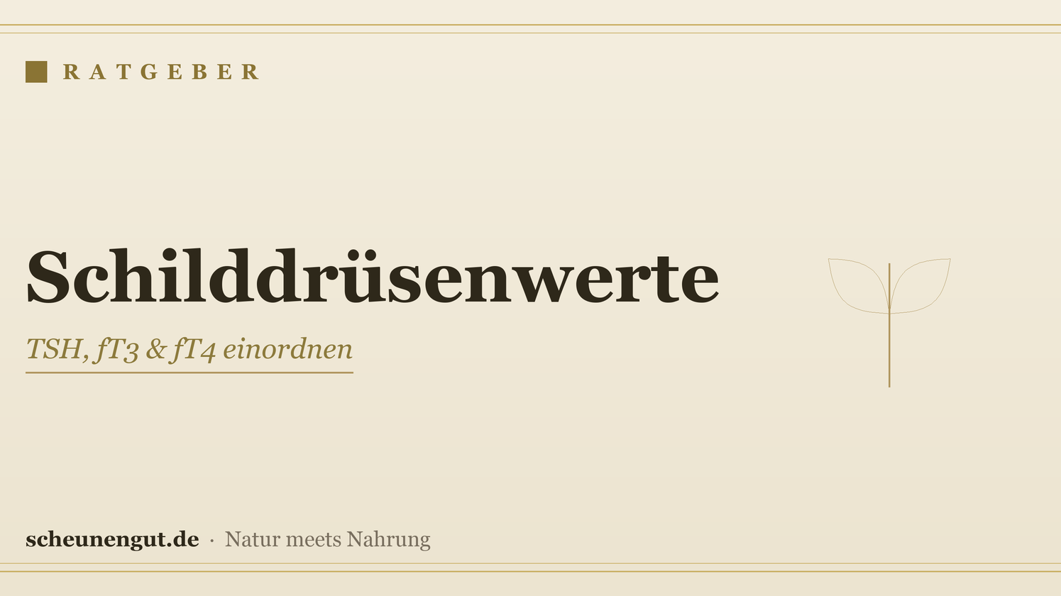 Schilddrüsenwerte: TSH, fT3 & fT4 einordnen