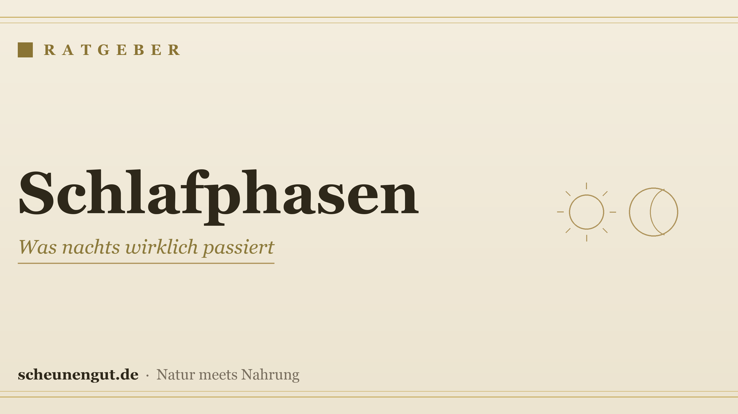 Schlafphasen: Was nachts wirklich passiert