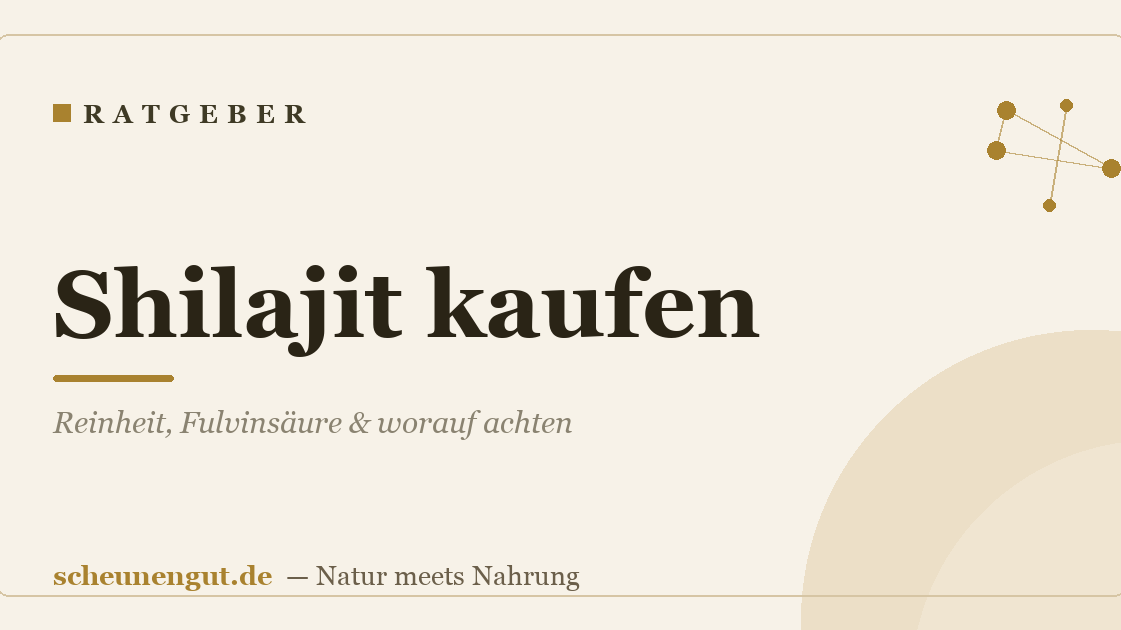 Shilajit kaufen: Reinheit, Fulvinsäure & worauf achten