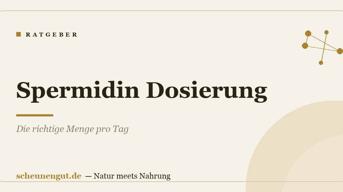 Spermidin Dosierung: Die richtige Menge pro Tag