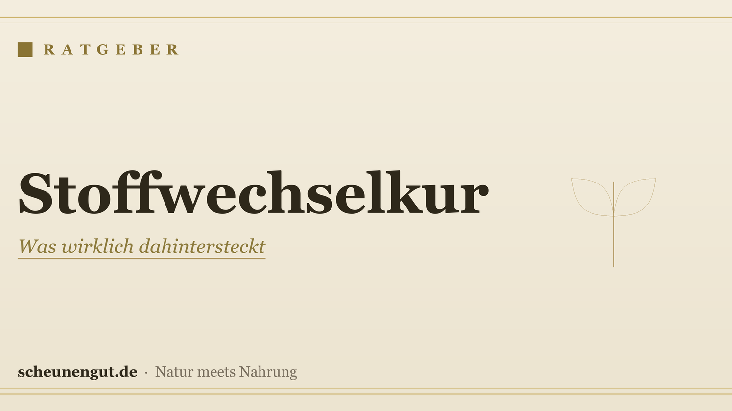 Stoffwechselkur: Was wirklich dahintersteckt