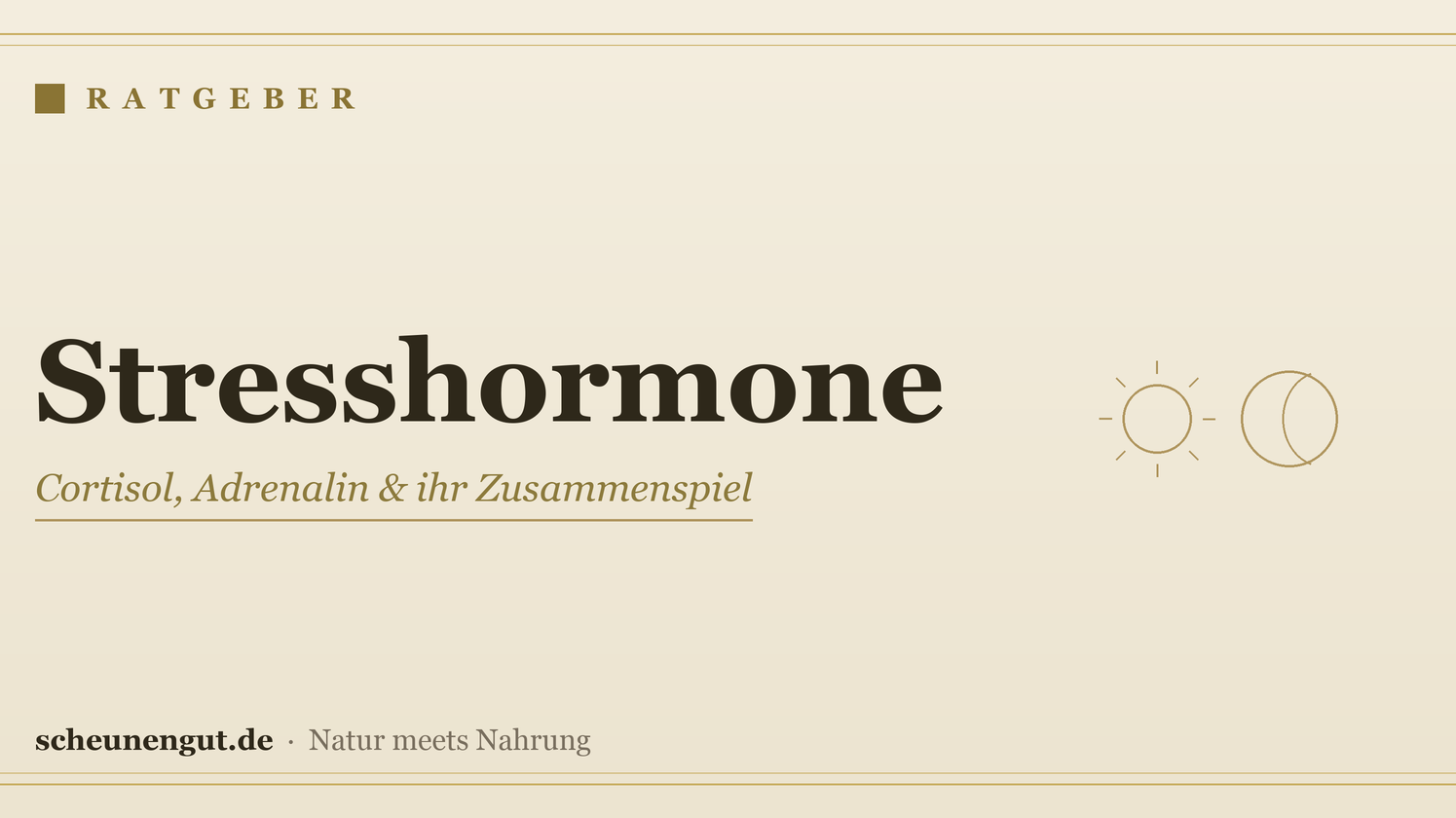 Stresshormone: Cortisol, Adrenalin & ihr Zusammenspiel