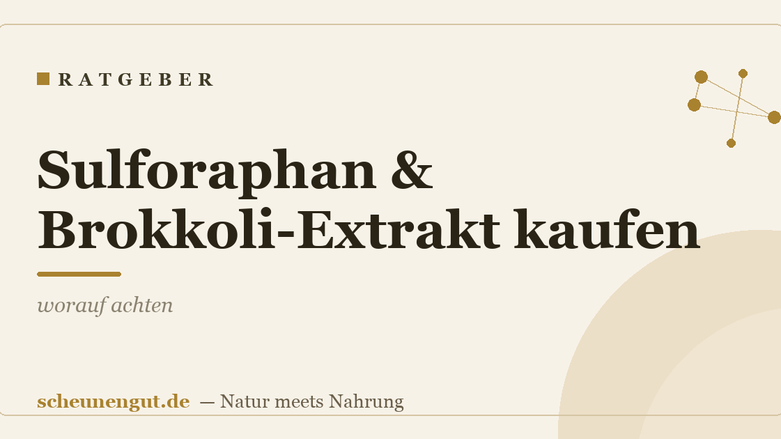 Sulforaphan & Brokkoli-Extrakt kaufen: worauf achten