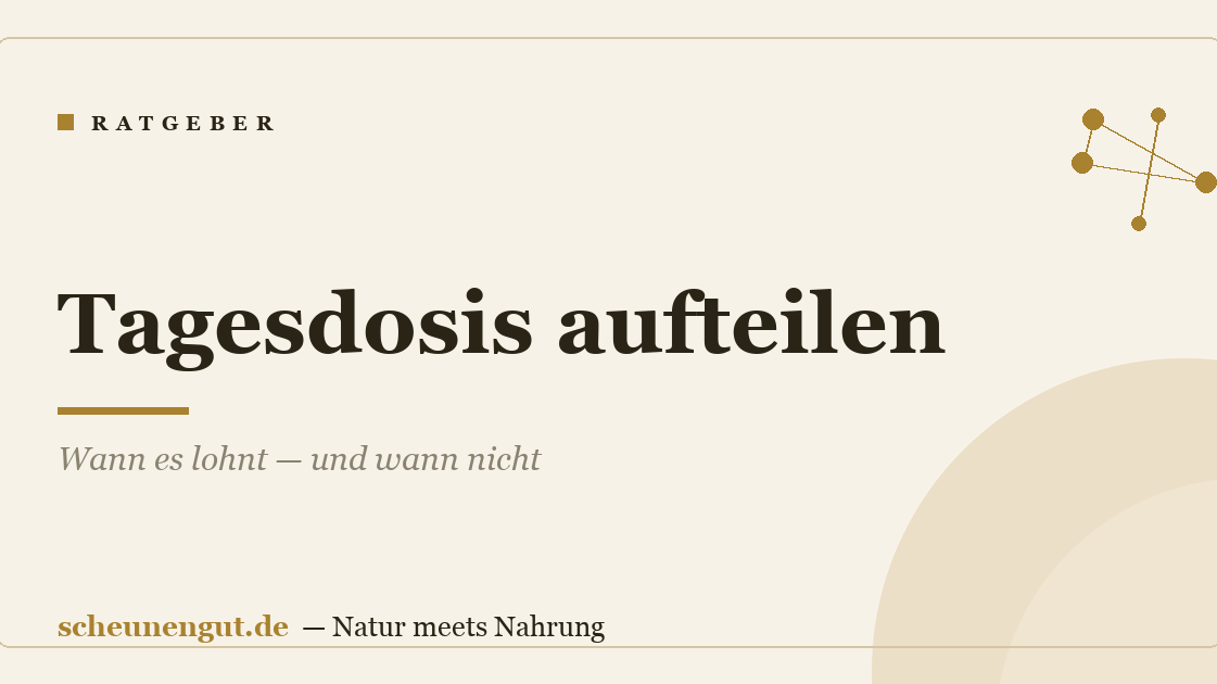 Tagesdosis aufteilen: Wann es lohnt — und wann nicht