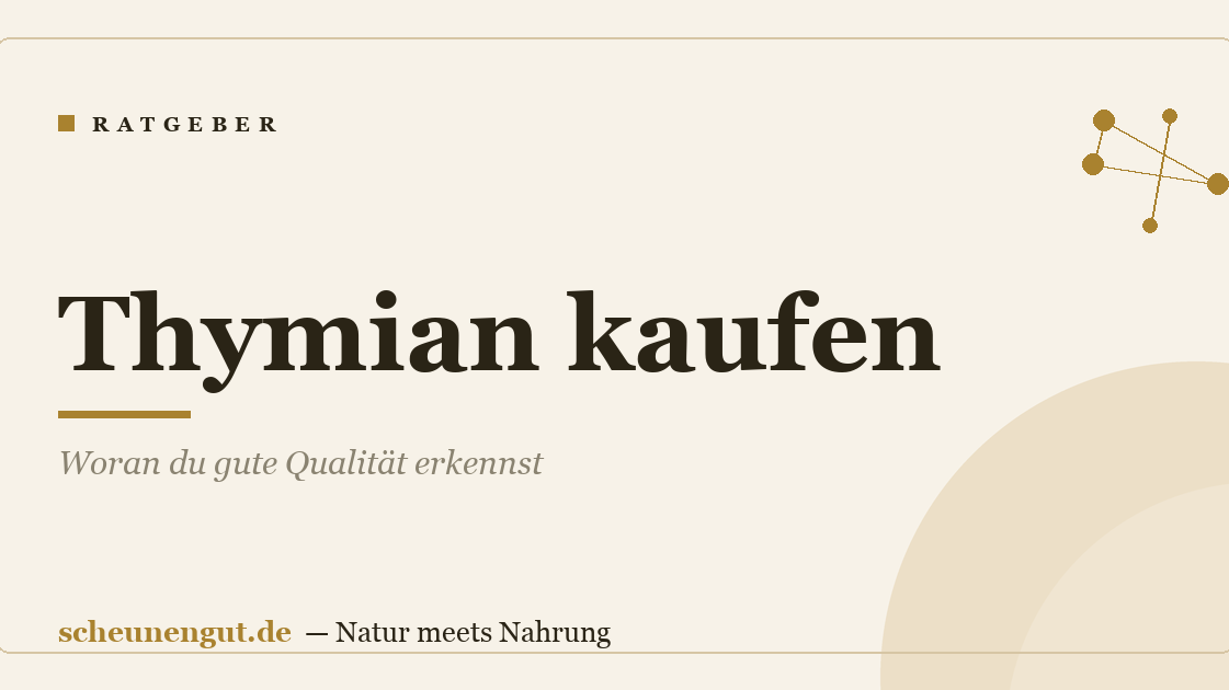 Thymian kaufen: Woran du gute Qualität erkennst