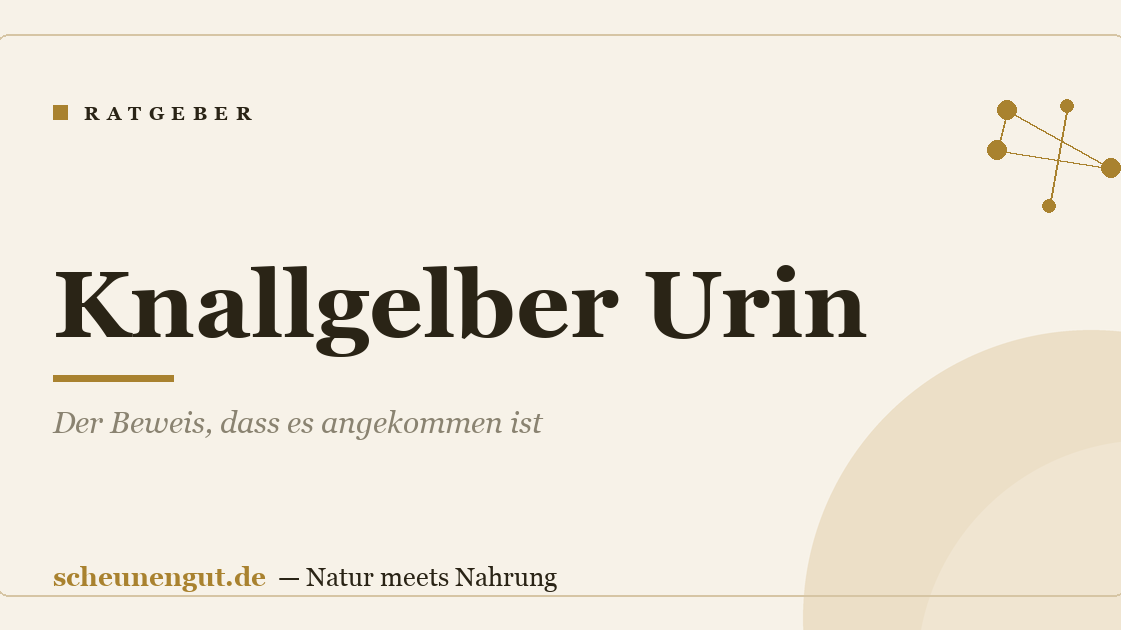 Knallgelber Urin: Der Beweis, dass es angekommen ist