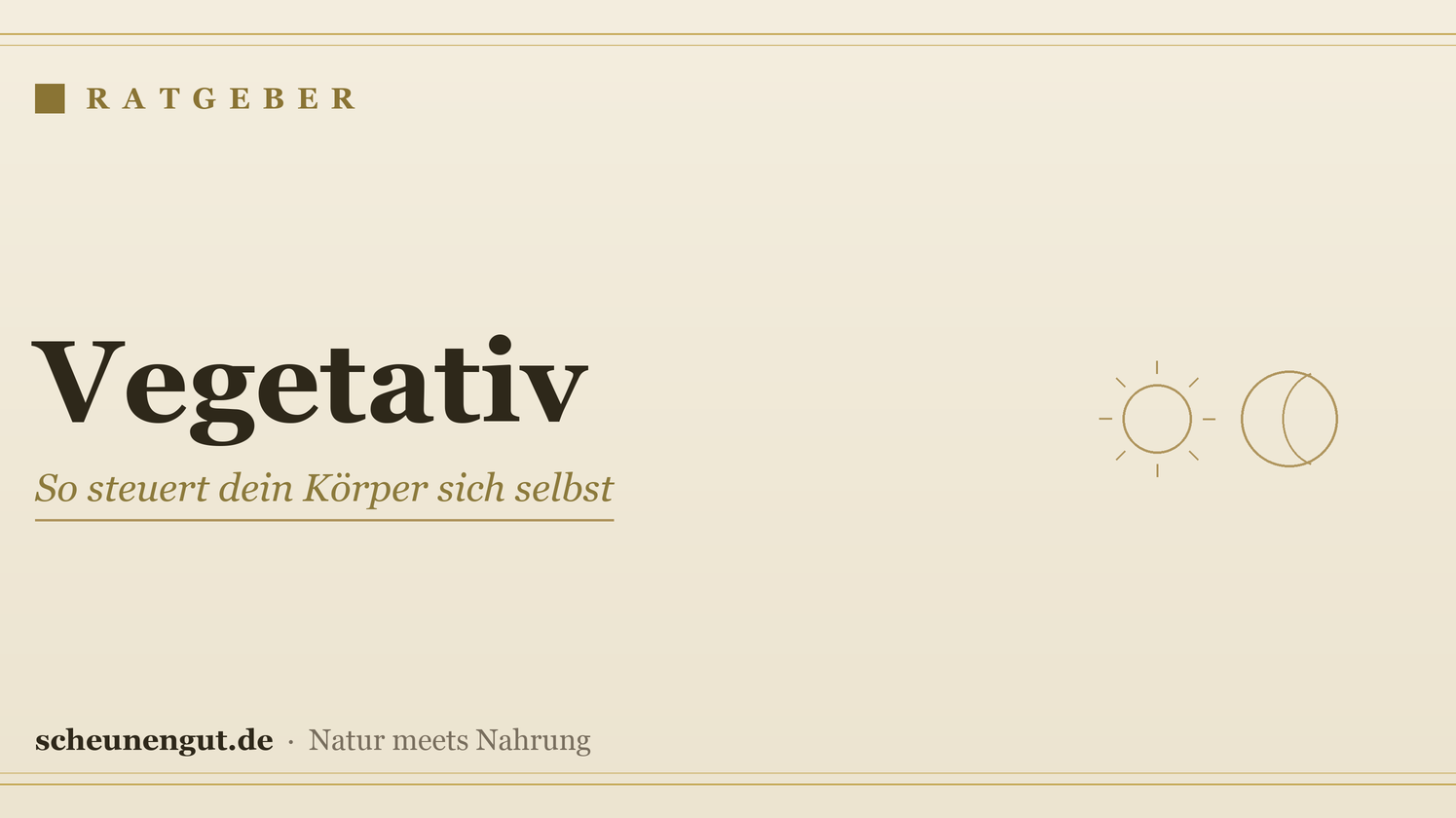 Vegetativ: So steuert dein Körper sich selbst