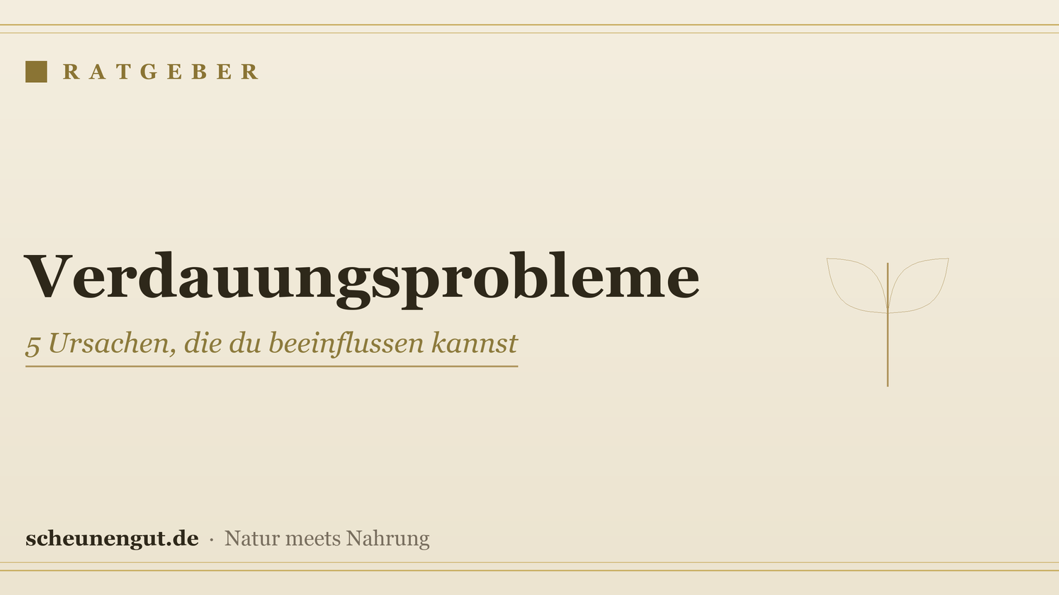 Verdauungsprobleme: 5 Ursachen, die du beeinflussen kannst