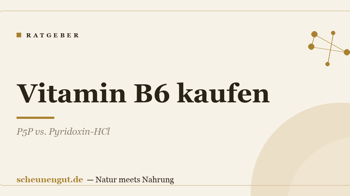 Vitamin B6 kaufen: P5P vs. Pyridoxin-HCl