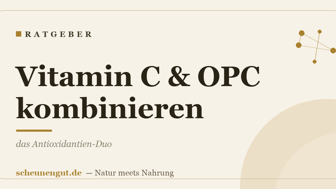 Vitamin C & OPC kombinieren: das Antioxidantien-Duo