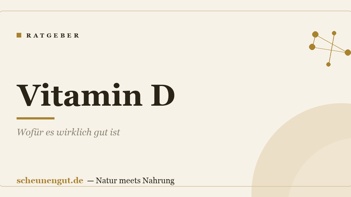 Vitamin D: Wofür es wirklich gut ist