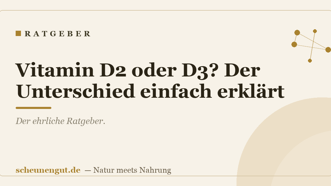 Vitamin D2 oder D3? Der Unterschied einfach erklärt