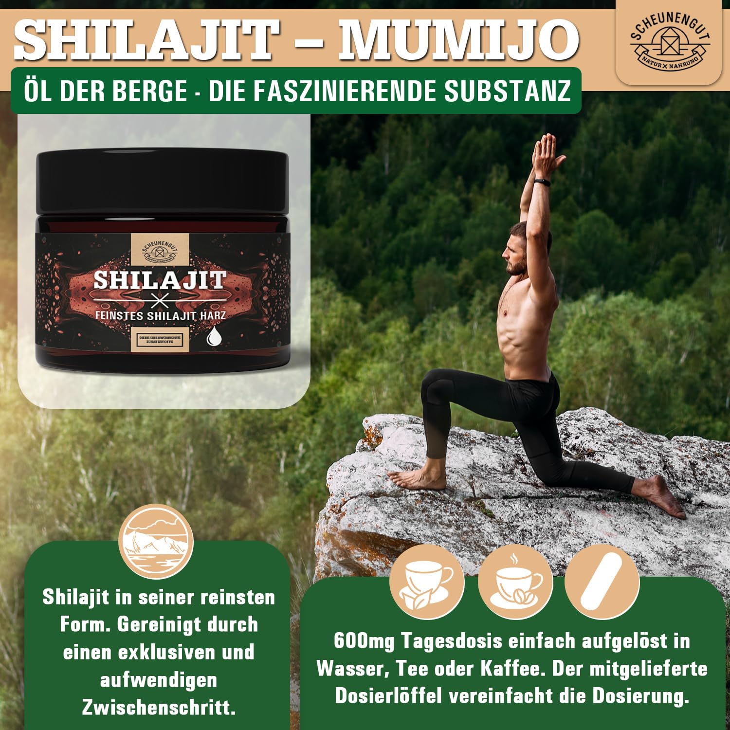 Shilajit Harz