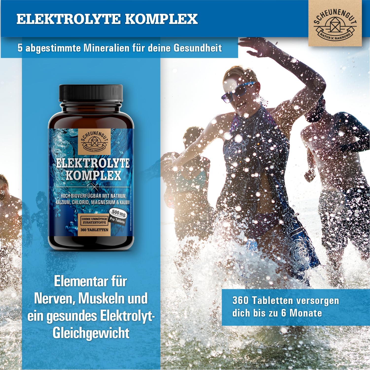 Elektrolyte Komplex