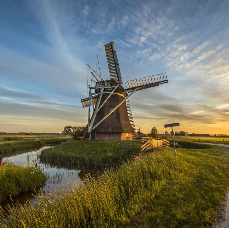 Windmühle in der Natur – Produktion in Deutschland
