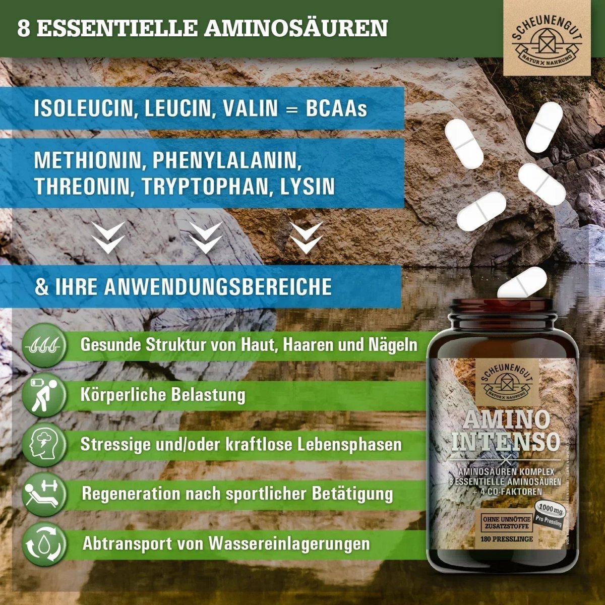 Alle essentiellen Aminosäuren und 4 Co-Faktoren im Komplex