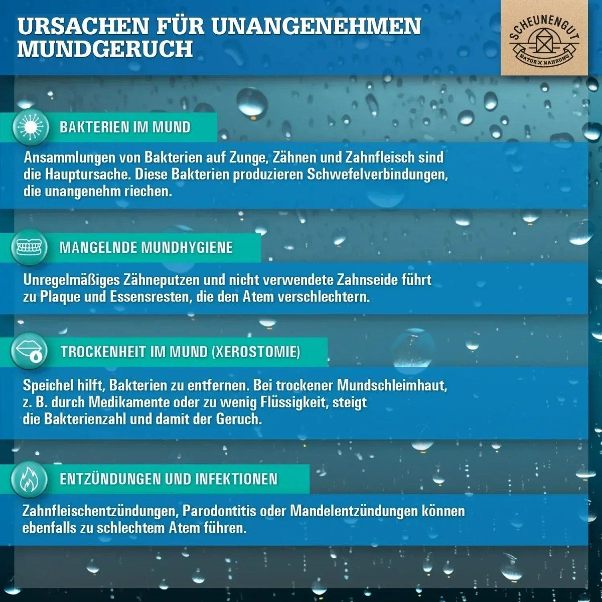 Atemfrische - Lutschtabletten mit L.salivarius und Vitamin D3 (Zitrone - Kirsch - Geschmack) Scheunengut - Shop