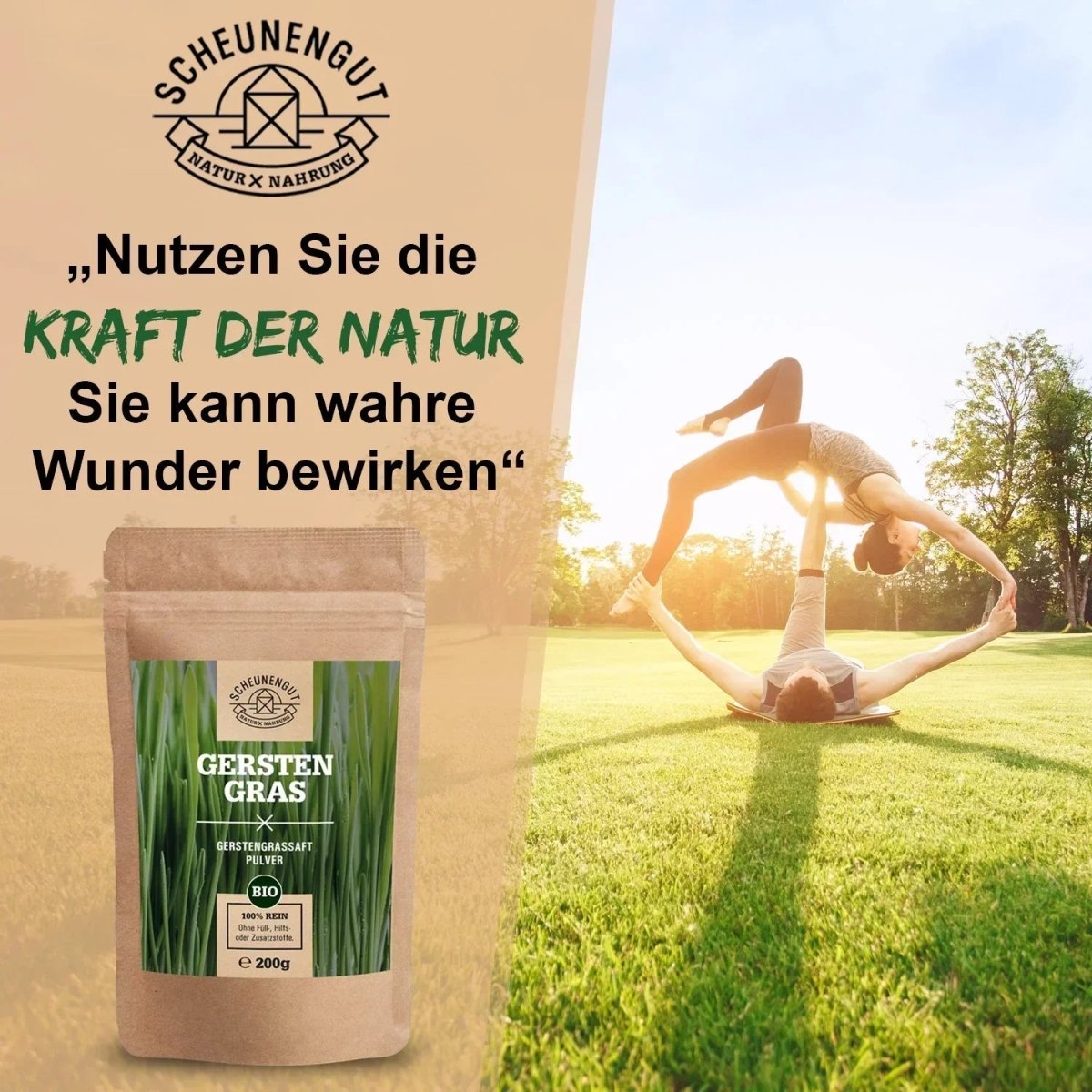 Ausgezeichnetes Gerstengrassaft Pulver (Barley Grass Juice) aus den USA Scheunengut - Shop