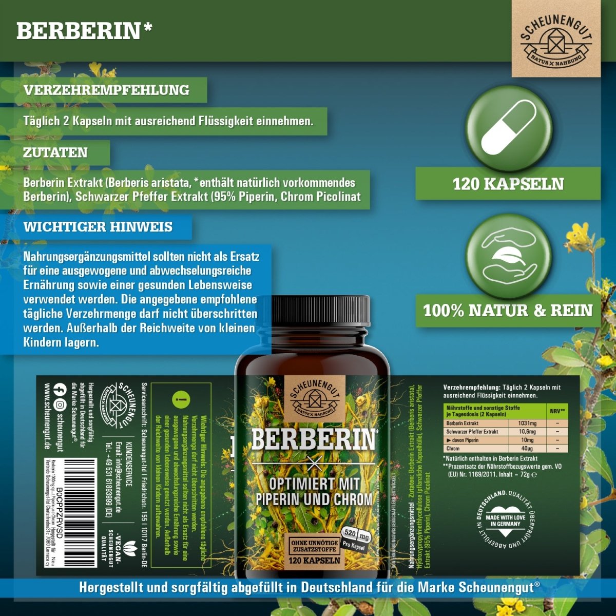 Berberis aristata Extrakt aus Indien - optimiert mit Chrom und Piperin Scheunengut Shop