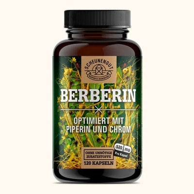 Berberis aristata Extrakt aus Indien - optimiert mit Chrom und Piperin