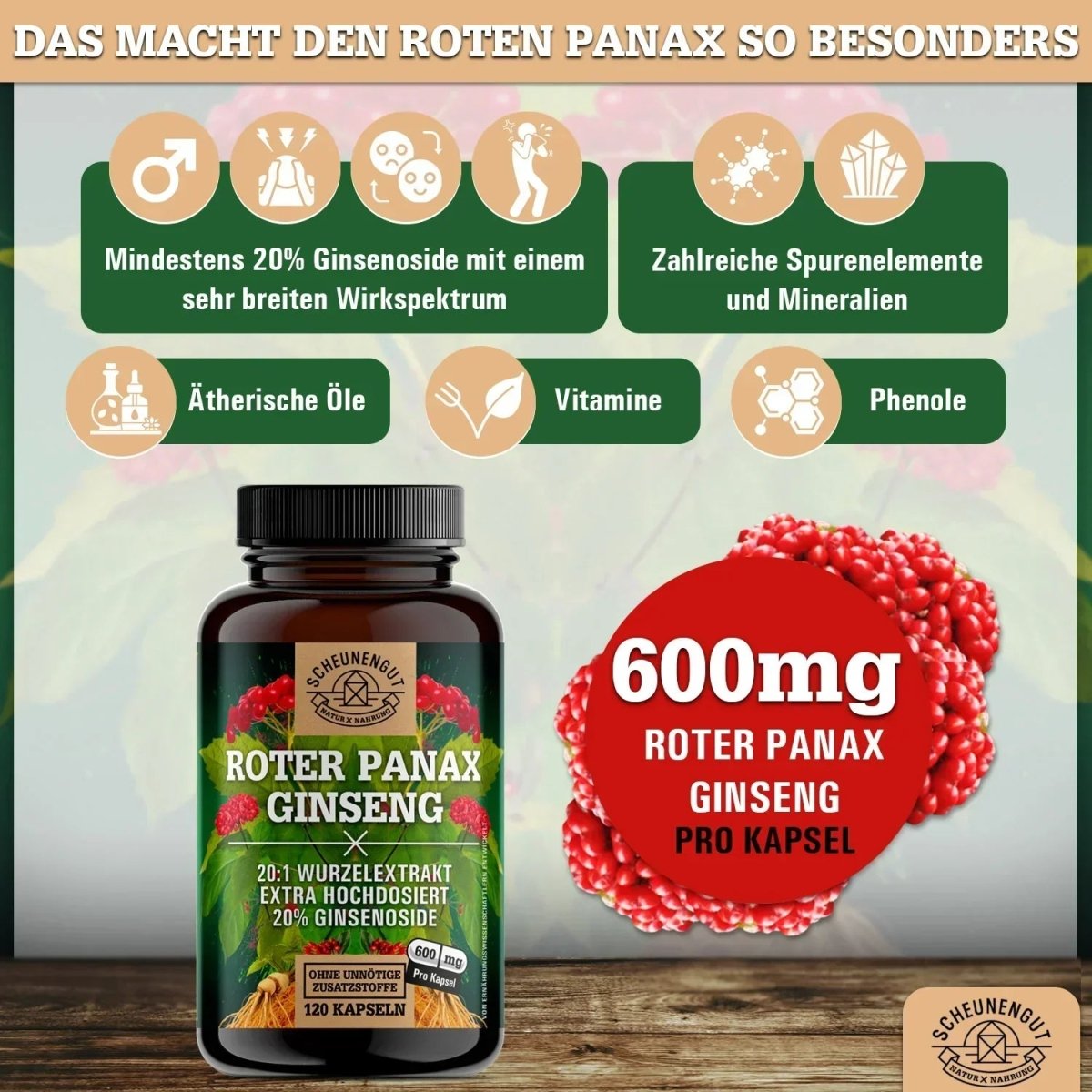 C.A. Meyer Wurzelextrakt hochdosiert 20:1 mit 20% Ginsenoside Scheunengut - Shop