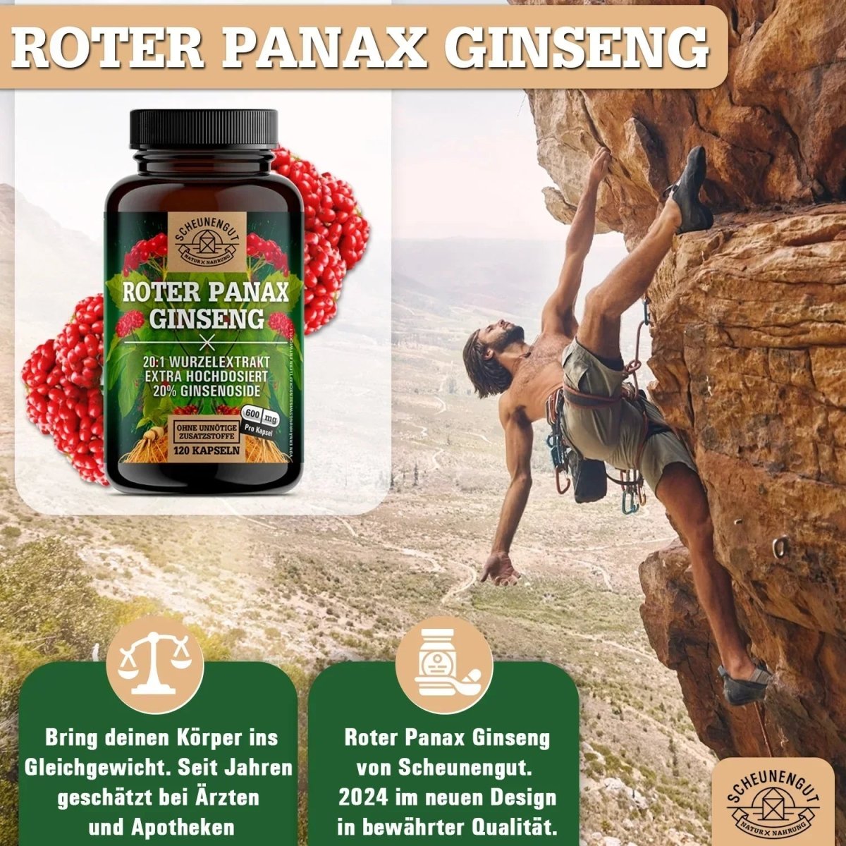 C.A. Meyer Wurzelextrakt hochdosiert 20:1 mit 20% Ginsenoside Scheunengut - Shop