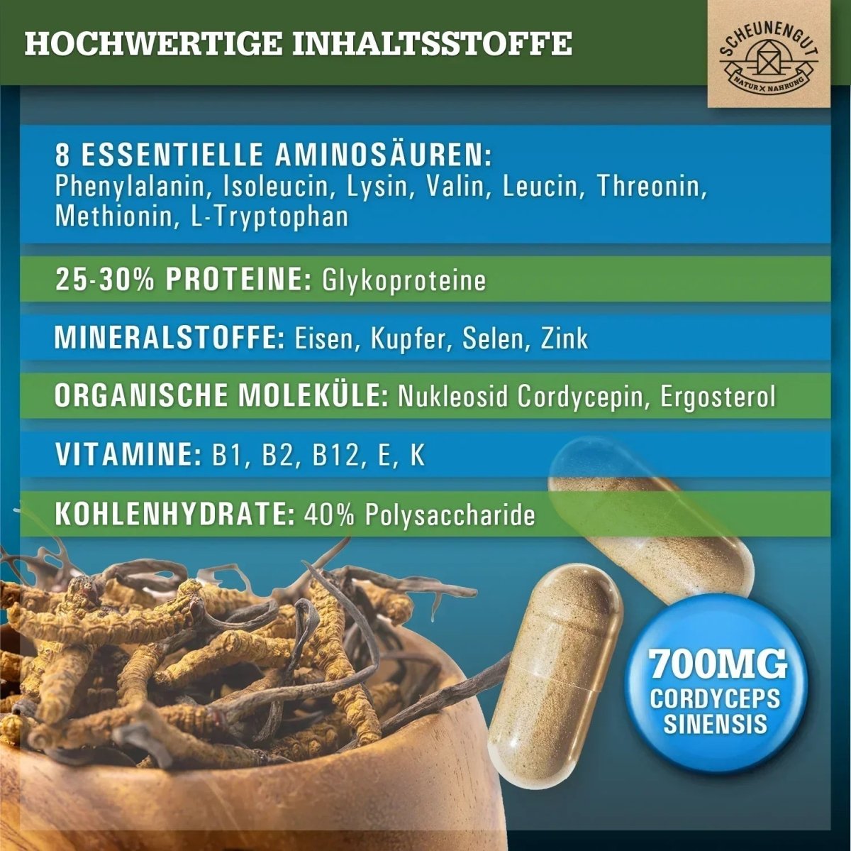Chinesischer Raupenpilz CS - 4 Extrakt mit 40% bioaktiven Polysacchariden Scheunengut - Shop