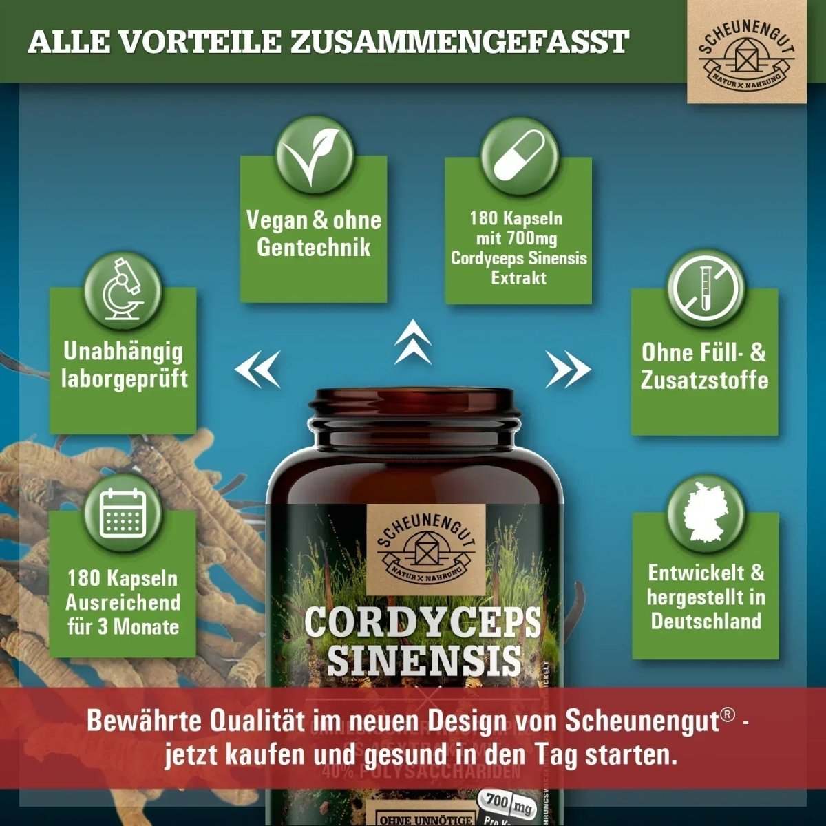 Chinesischer Raupenpilz CS - 4 Extrakt mit 40% bioaktiven Polysacchariden Scheunengut - Shop