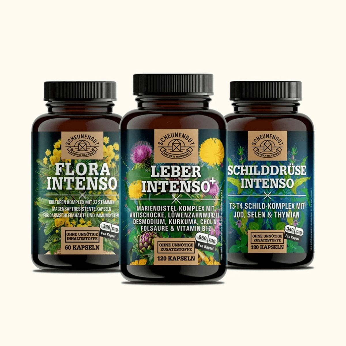 Darm - Leber - Schilddrüse - Achse Scheunengut - Shop