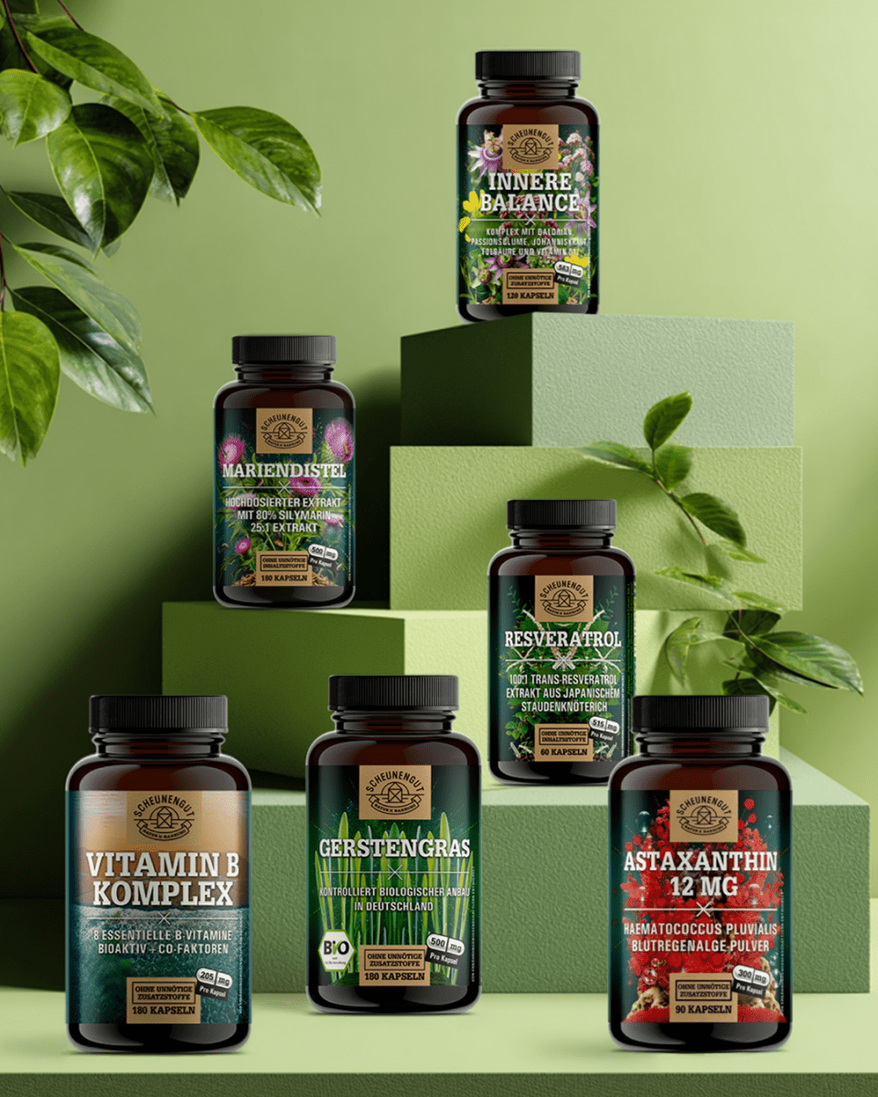 Dein Sparset im Black Month Scheunengut Shop