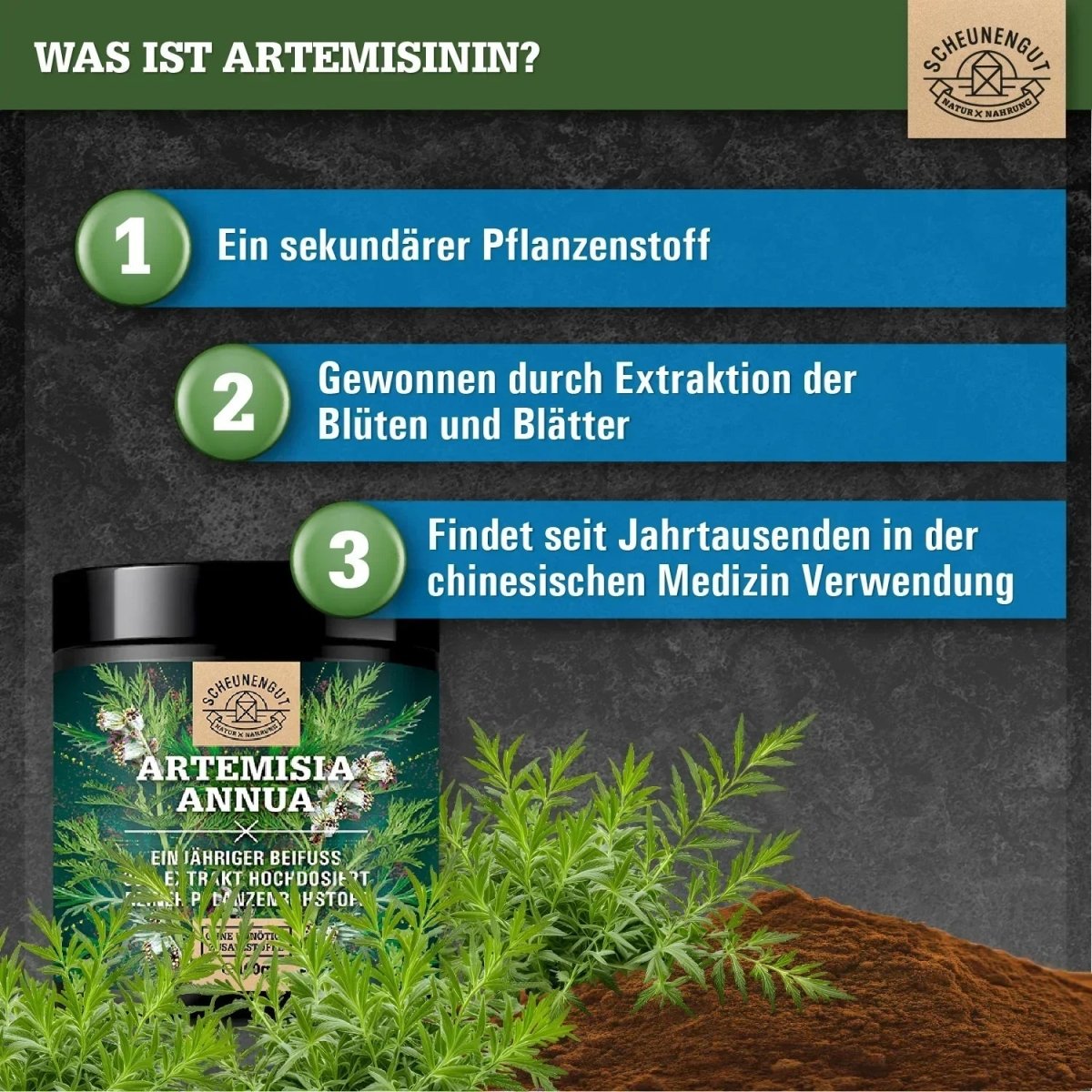 Einjähriger Beifuß Extrakt hochdosiert 30:1 mit 21% Artemisinin Scheunengut - Shop
