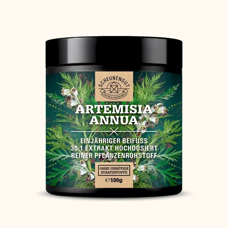 Einjähriger Beifuß Extrakt hochdosiert 30:1 mit 21% Artemisinin Scheunengut - Shop