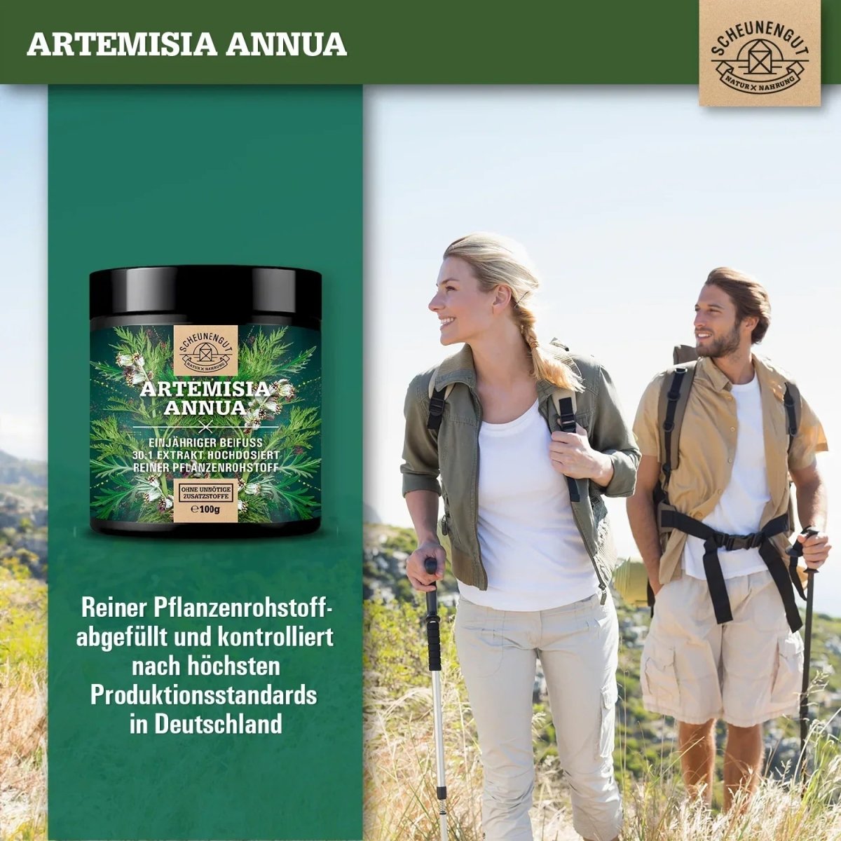 Einjähriger Beifuß Extrakt hochdosiert 30:1 mit 21% Artemisinin Scheunengut - Shop